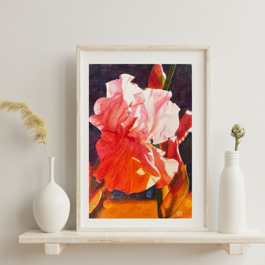 Drama Queen | Pink iris Watercolor Art Print, Limited Edition Giclée