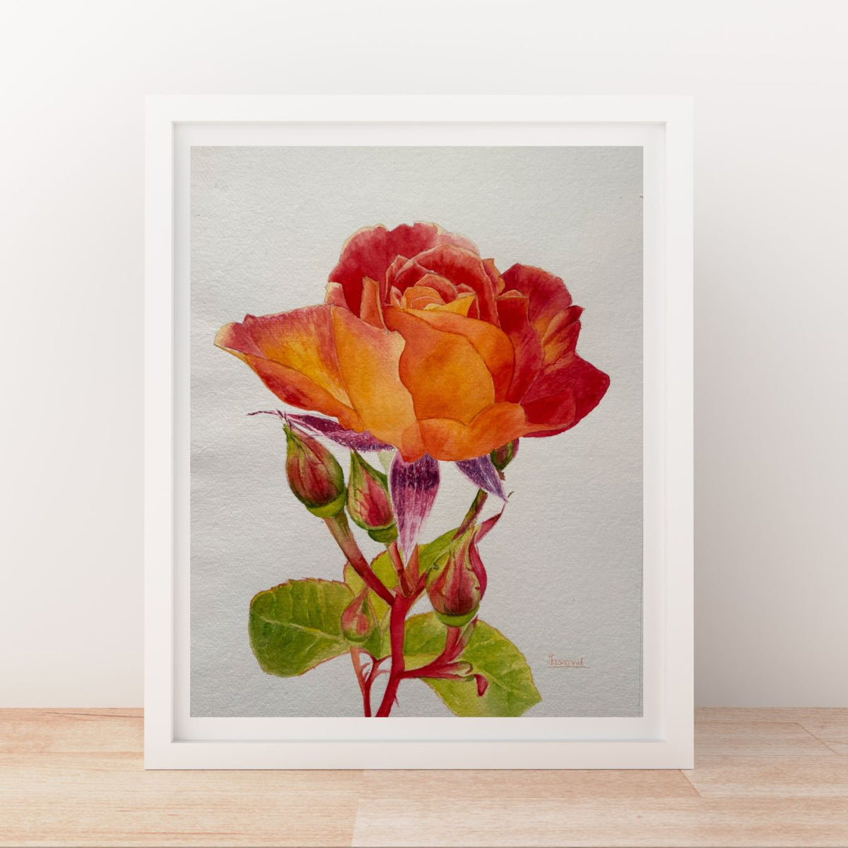 Rising Through The Fire | Orange and Red Rose Watercolor Art Print, Limited Edition Giclée