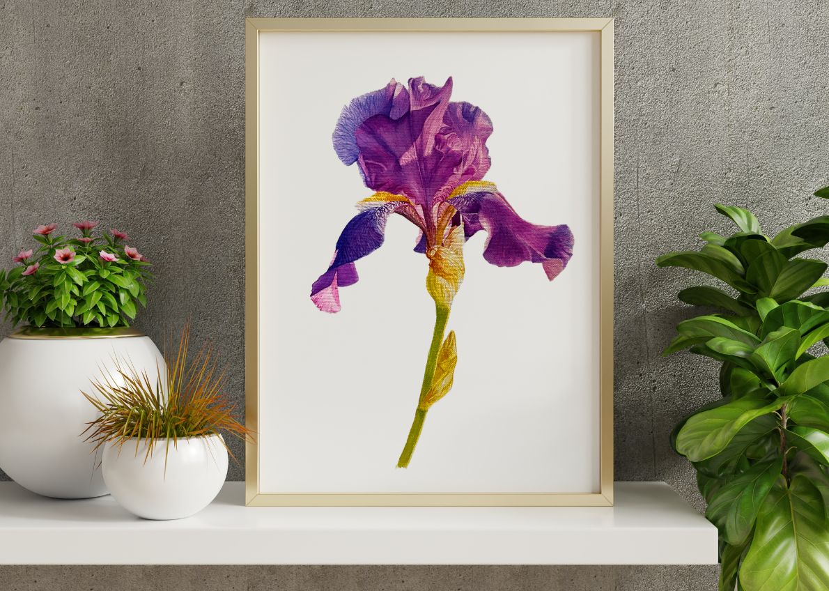 Purple Veil | Bright Pink Peony Watercolor Art Print, Limited Edition Giclée