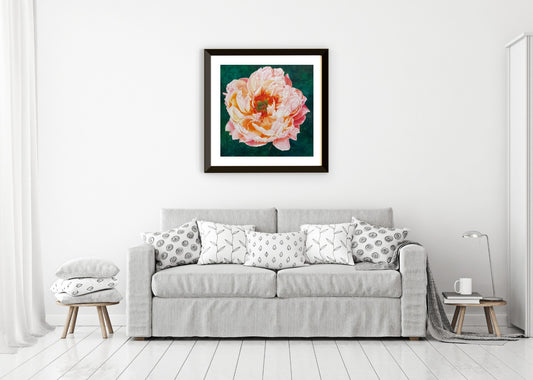 Blush | Pink Peony Watercolor Art Print, Limited Edition Giclée