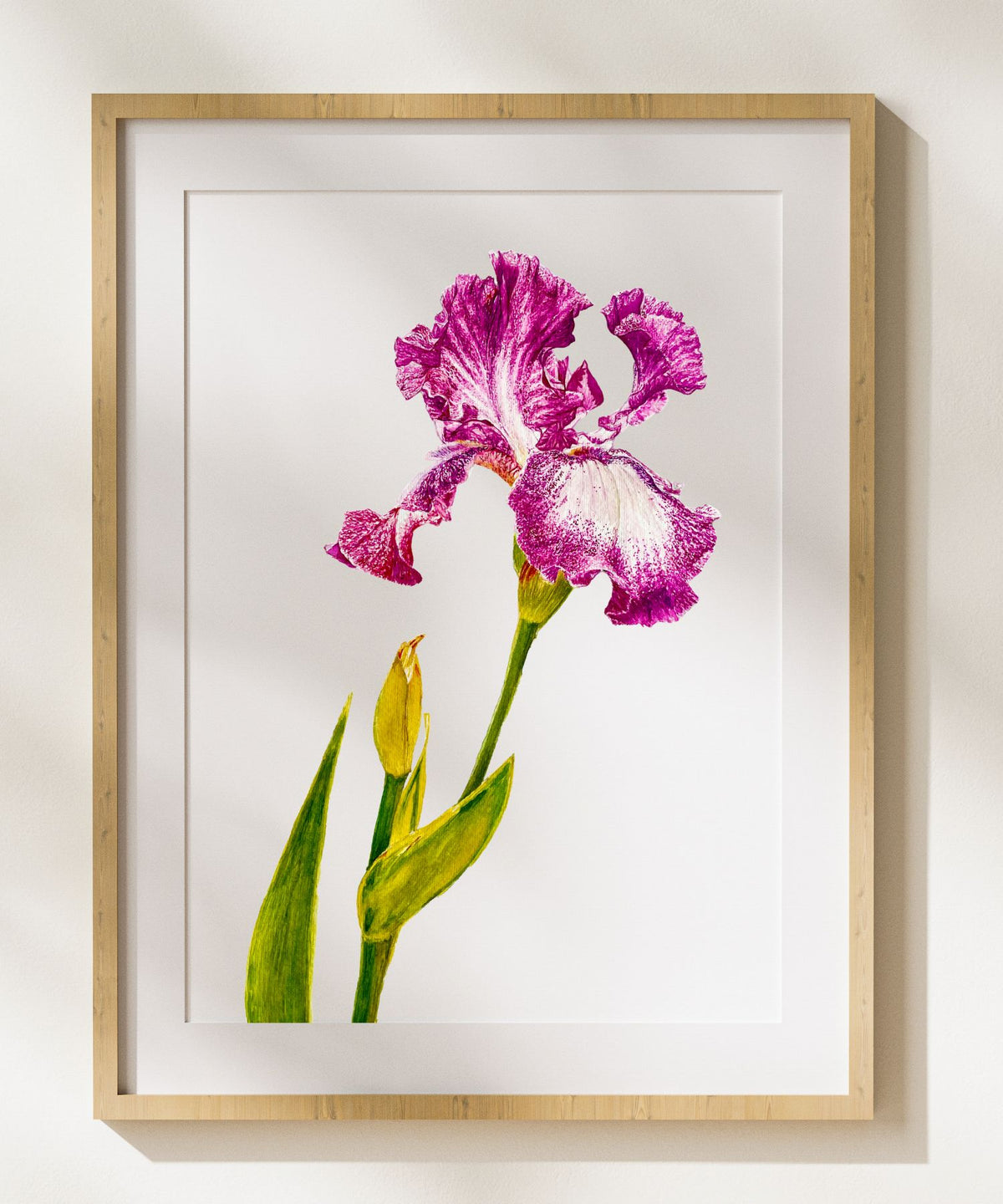 Cascading Petals | Purple Iris Watercolor Art Print, Limited Edition Giclée