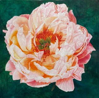 Blush | Pink Peony Watercolor Art Print, Limited Edition Giclée