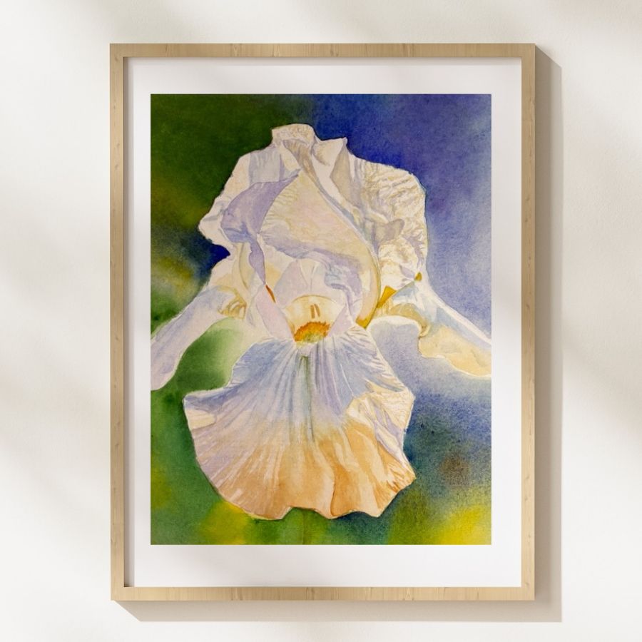 Angel Wings | White Iris Watercolor Art Print, Limited Edition Giclée