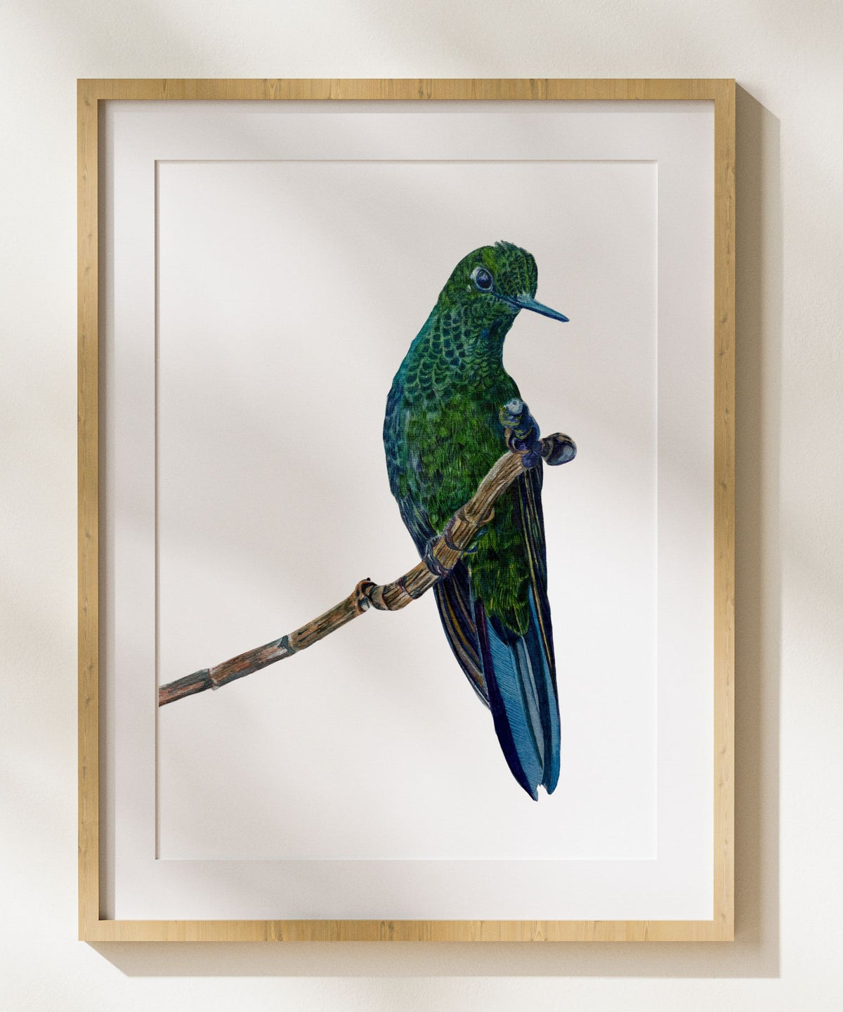 Hummingbird Trio, Set of 3 Small Watercolor Bird Art Prints, 7" x 5" Giclée Prints