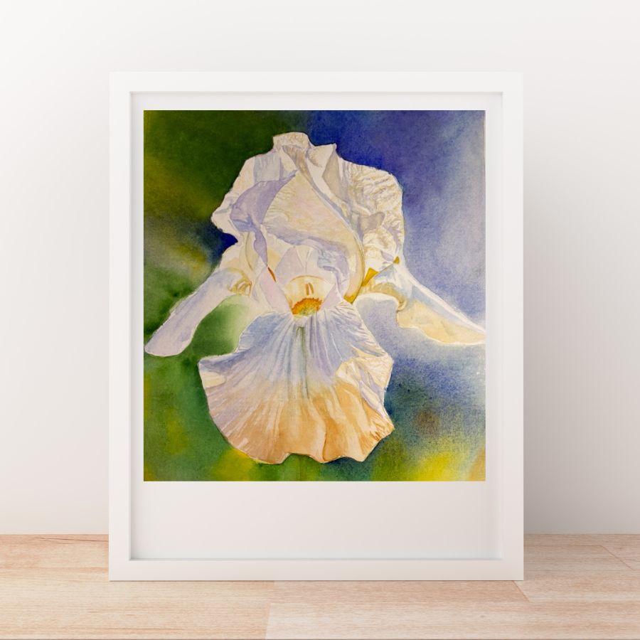 Angel Wings | White Iris Watercolor Art Print, Limited Edition Giclée