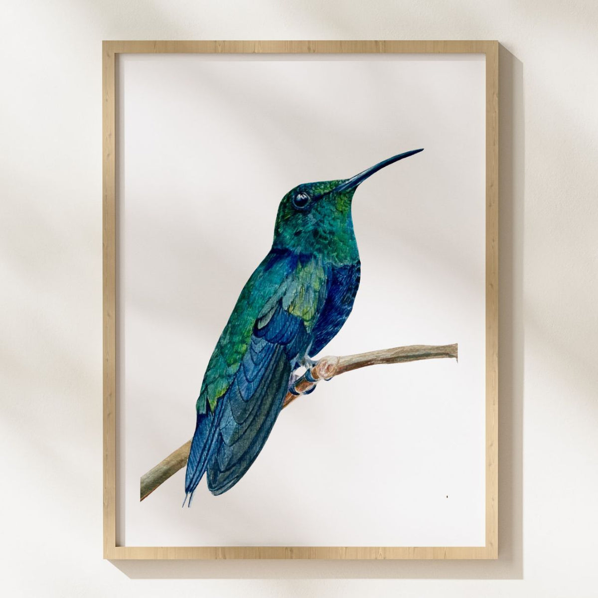 Hummingbird Trio, Set of 3 Small Watercolor Bird Art Prints, 7" x 5" Giclée Prints