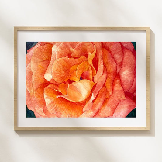 Eternal Love | Orange and Peachy Rose Watercolor Art Print, Limited Edition Giclée