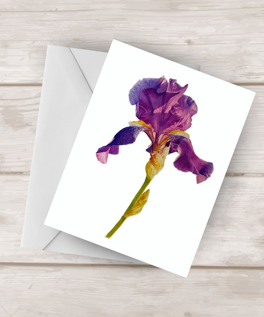 Purple |  Watercolor Painting of a Purple Iris | greeting Card | 4.25″x 5.5″