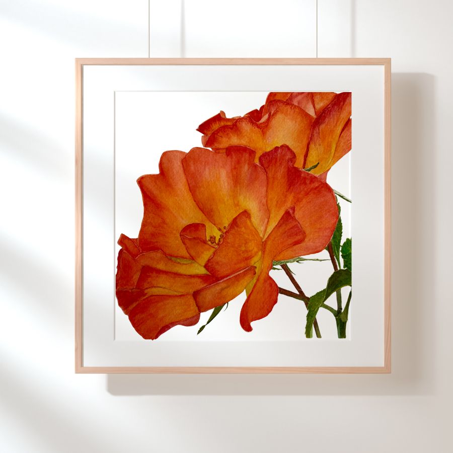 Flames |  Orange and  Yellow Rose Watercolor Art Print, Limited Edition Giclée