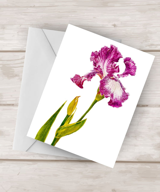 Blank Notecards |Cascading Petals |  Watercolor Painting of A Purple Iris| 4.25″x 5.5″