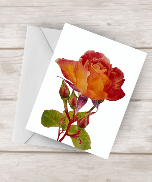 Blank Notecards |Rising Through The Fire |  Watercolor Painting of A Red and Yellow Rose| 4.25″x 5.5″