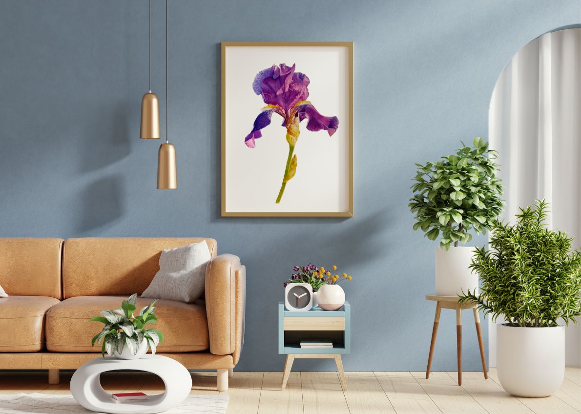 Purple Veil | Bright Pink Peony Watercolor Art Print, Limited Edition Giclée