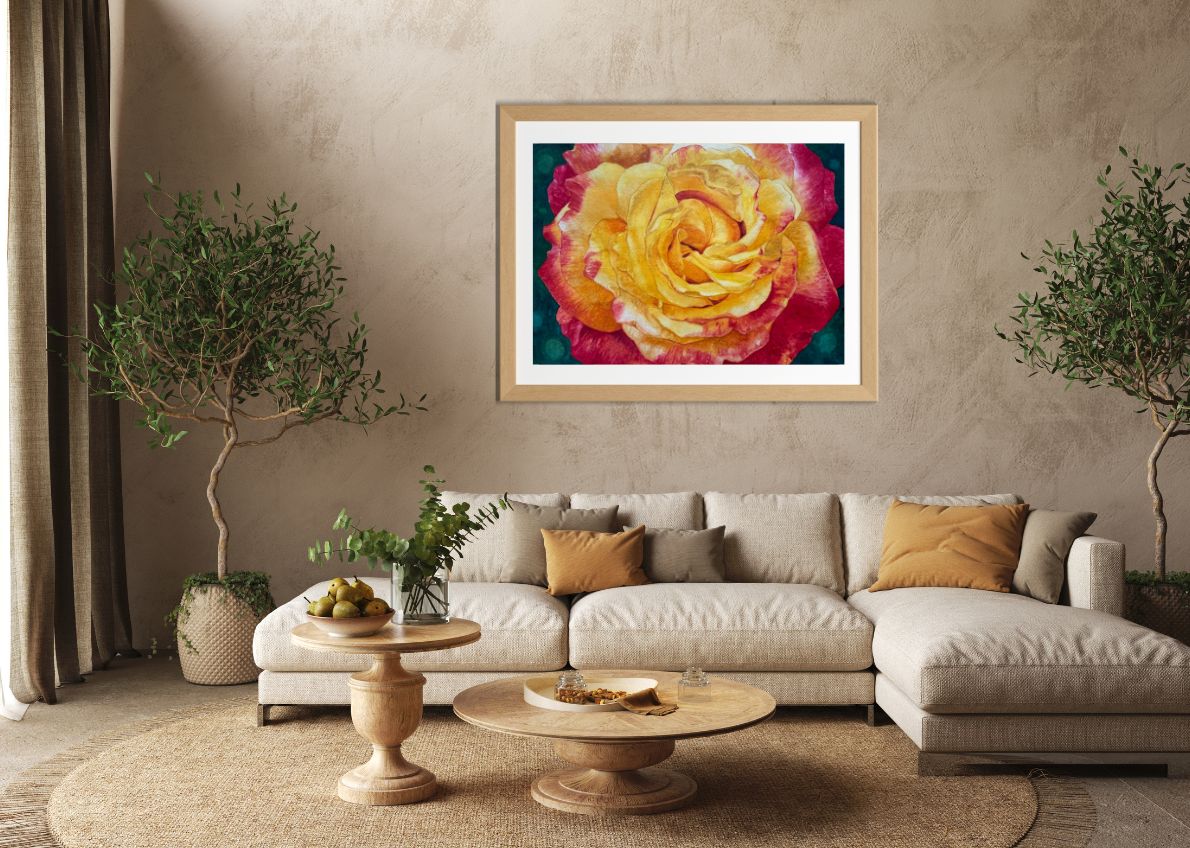Changing Colors | Yellow and Red Rose Watercolor Art Print, Limited Edition Giclée