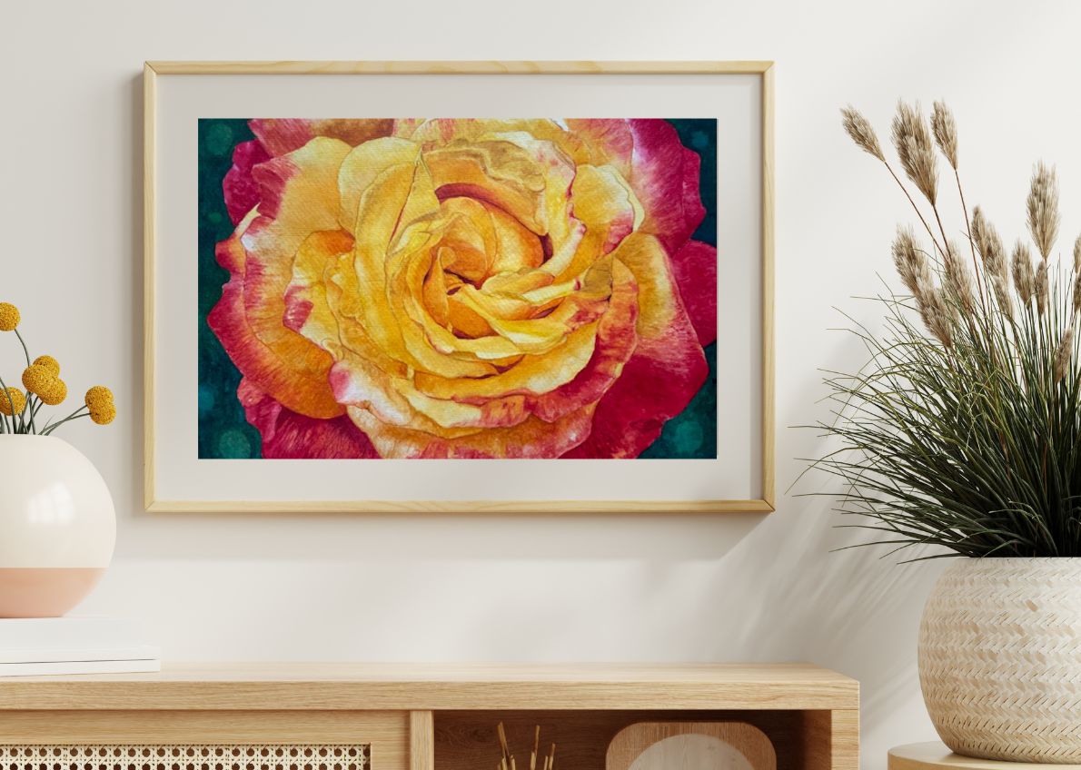 Changing Colors | Yellow and Red Rose Watercolor Art Print, Limited Edition Giclée