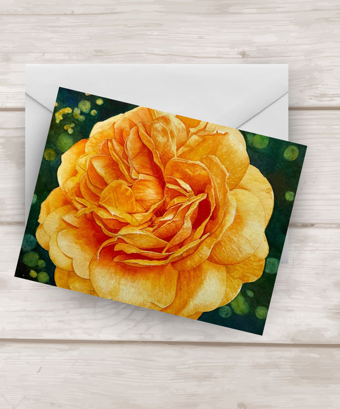 Yellow Rose