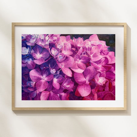 Sparkle | Purple Hydrangea Watercolor Art Print, Limited Edition Giclée