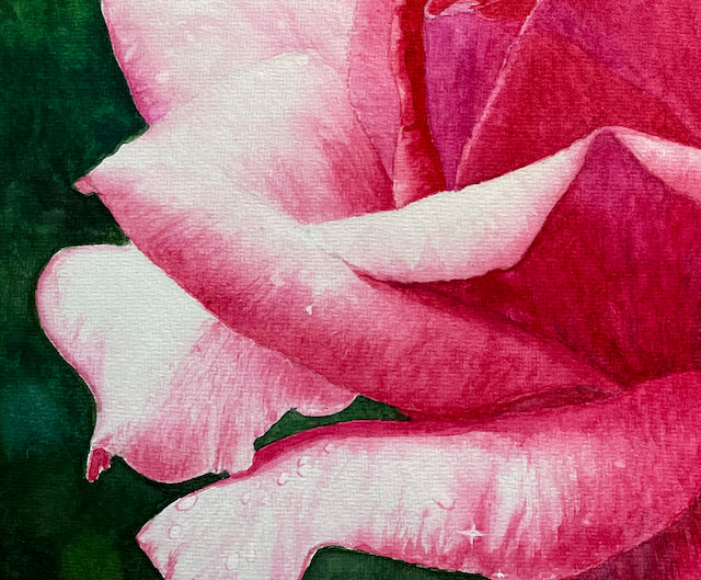 Radiance | Pink and White Rose Watercolor Art Print, Limited Edition Giclée