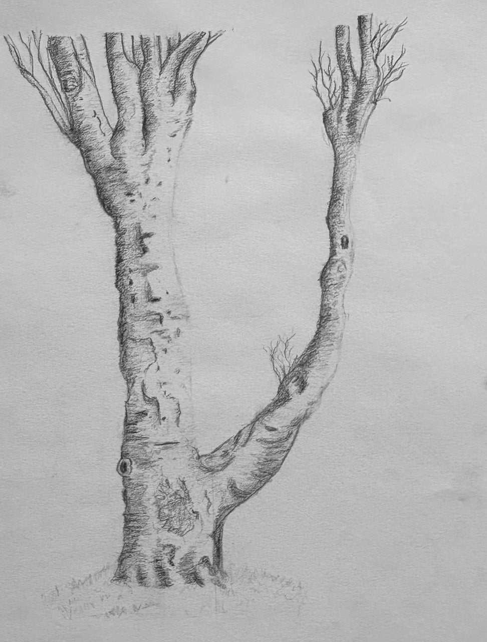 Student drawing showing light, shadow and value