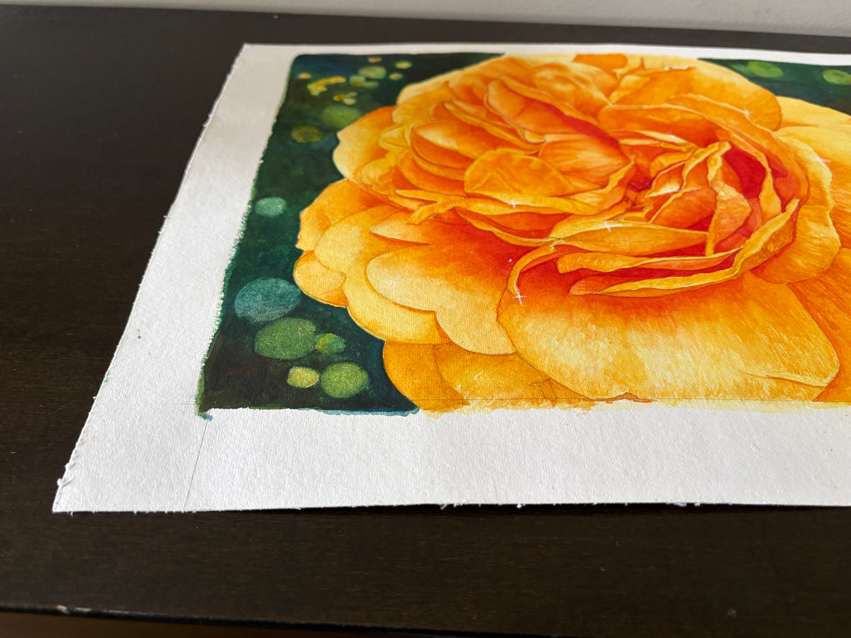 Golden Glow |  Yellow Rose Watercolor Art Print, Limited Edition Giclée