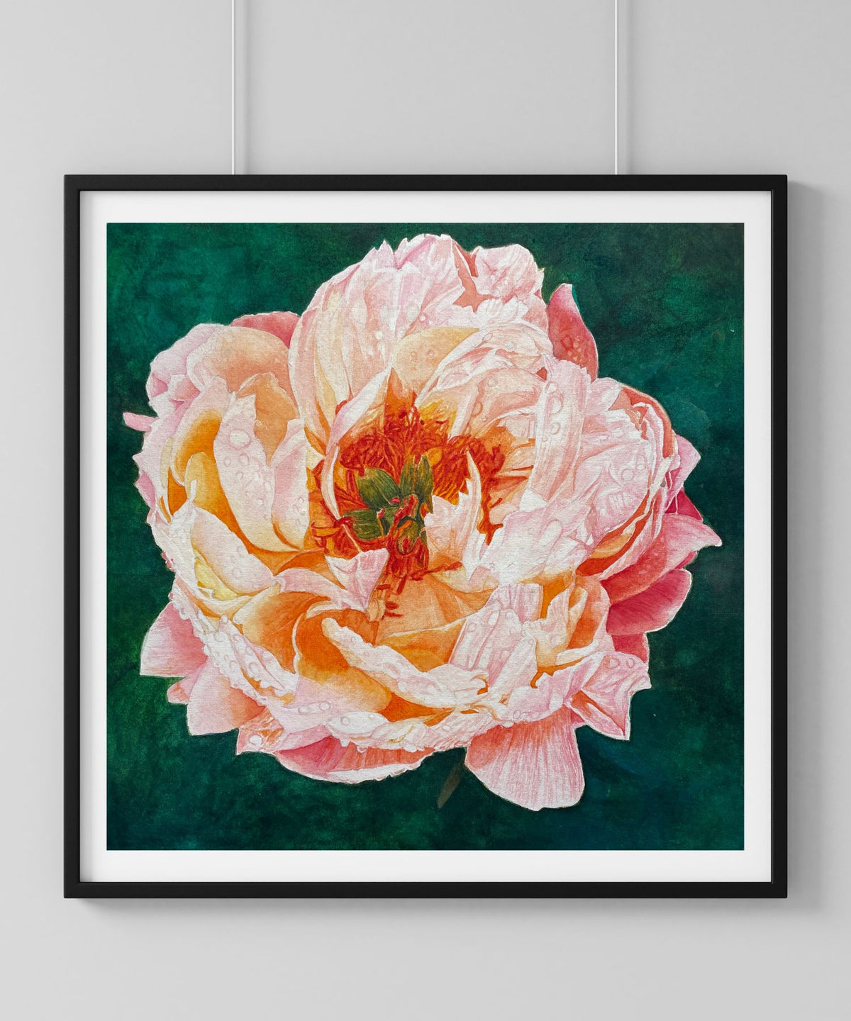 Blush | Pink Peony Watercolor Art Print, Limited Edition Giclée