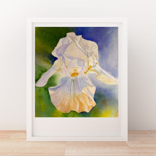 Angel Wings | White Iris Watercolor Art Print, Limited Edition Giclée
