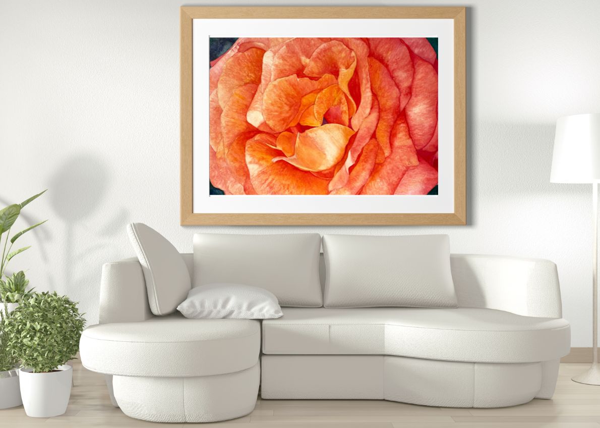 A watercolor painting of a vibrant orange and peach rose