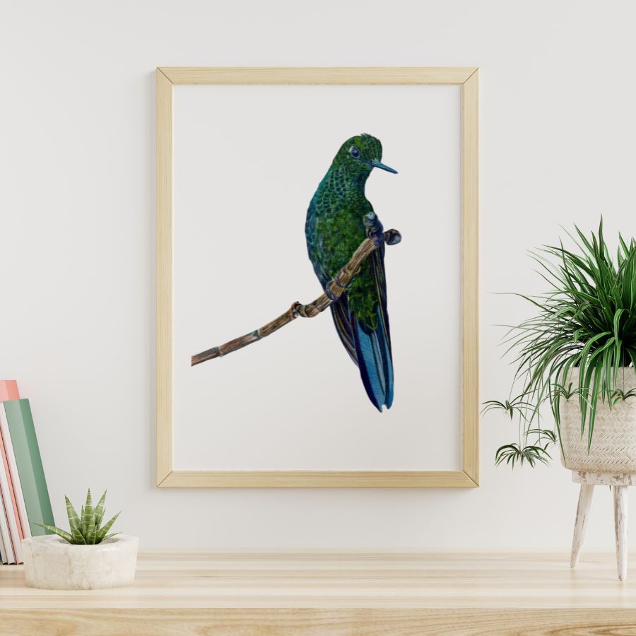 Watercolor Painting of Humming Bird on a Branch| 16.” x12”