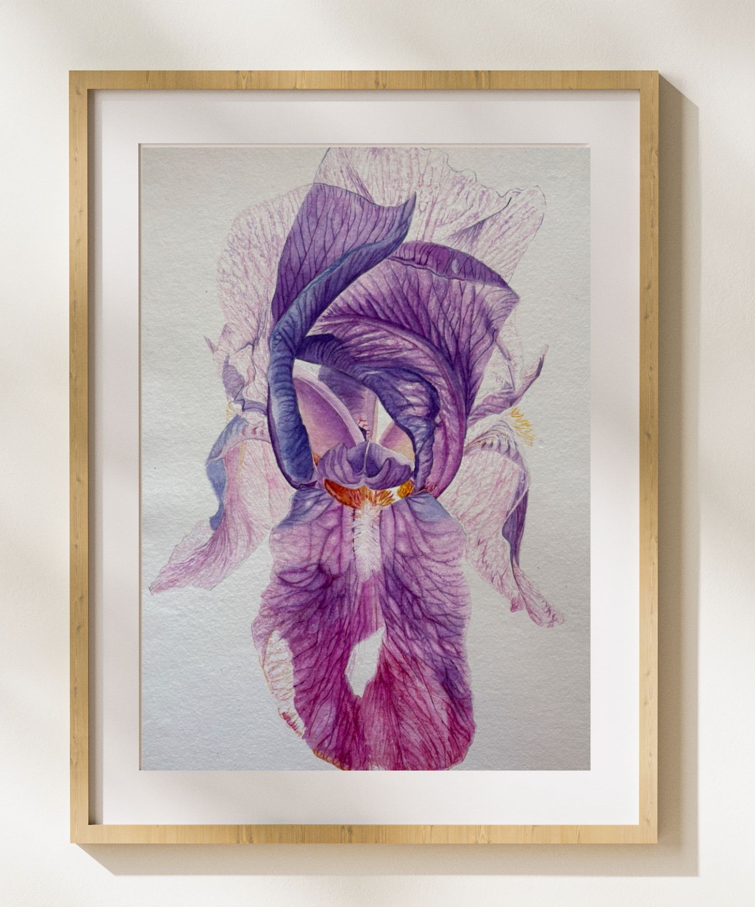 Original Watercolor Painting of Purple Iris Flower | 18.365” x12.5”